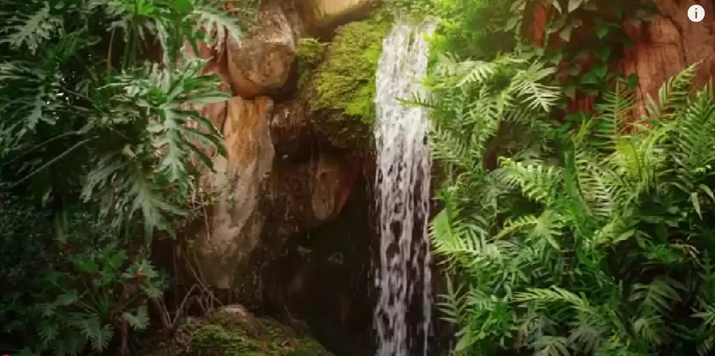 Relaxing Flute Music